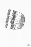 Paleo Patterns - Silver #1183