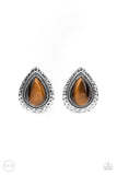 Desert Glow - Brown #1030