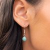 Homestead Harmony - Blue SSF-0322N